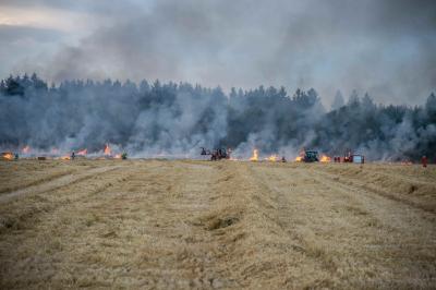 Huefingen-Behla: 7000 Quadratmeter Stoppelfeld in Brand - Feuerwehren im Einsatz